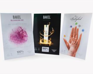 Bakel